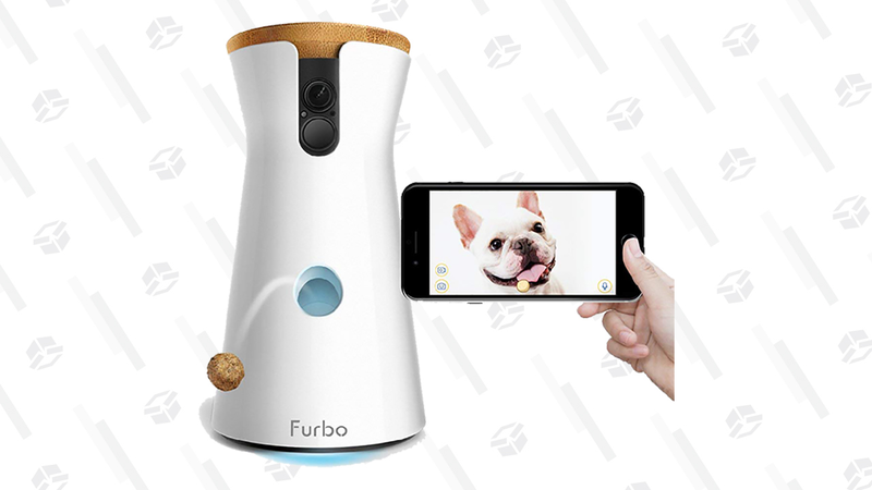 Cámara Furbo Dog | $135 | AmazonGráfico: Chelsea Stone